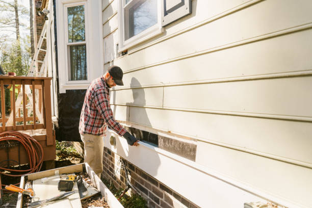 Top rated local Siding Repair specialists in Medina, MN